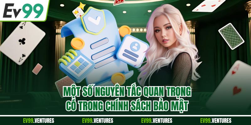 Một số nguyên tắc quan trọng có trong chính sách bảo mật